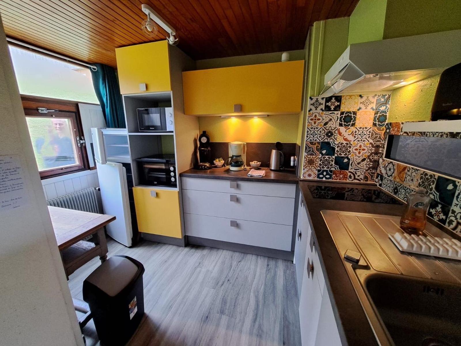 Appartement Duplex Avec Vue Sur Le Sancy Et Garage Couvert Murat-le-Quaire Экстерьер фото